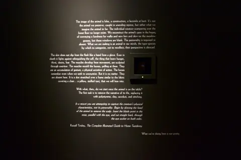 'Any Sharp Knife Will Do' - installation view, The Rooms Provincial Art Gallery - in collaboration with Seema Goel