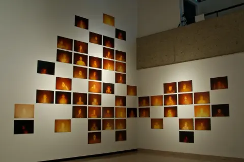 'glare' - installation view, Mendel Art Gallery, 2010