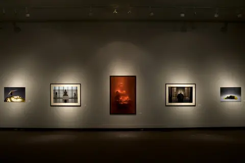 'Kool-Aid Buddha (after Serrano)' - installation view