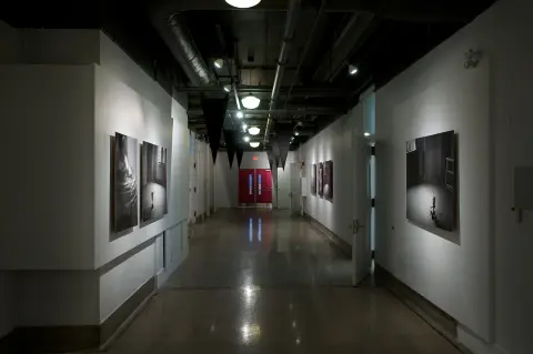 'The Nature of the Victory' installation view, Artscape Youngplace, 2014