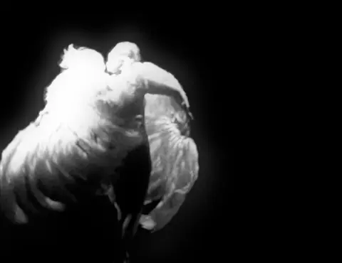 Revelations (2005) — work by Lee Henderson