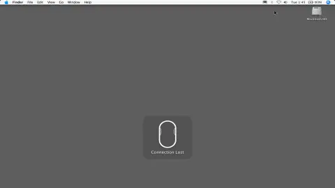 The Suicide of a Wireless Mouse (2007) — work by Lee Henderson
